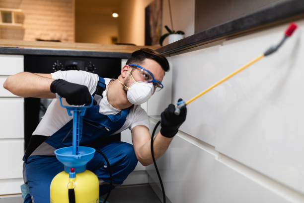 Best Mosquito Control Services  in East Canton, OH