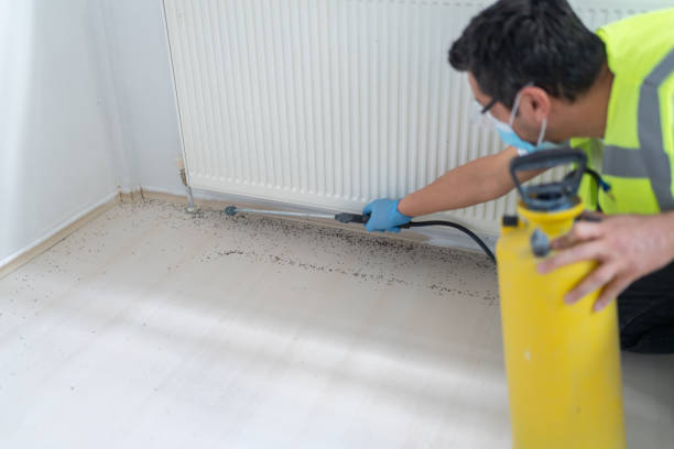 Reliable East Canton, OH Pest Control Solutions
