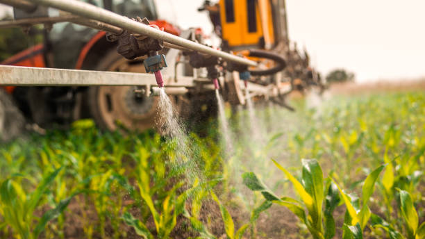 Pest Control Cost in East Canton, OH