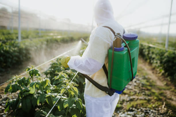 Best Wildlife Control Services  in East Canton, OH